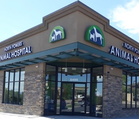 Veterinary Clinic in Colorado Springs
