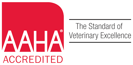 AAHA Accredited