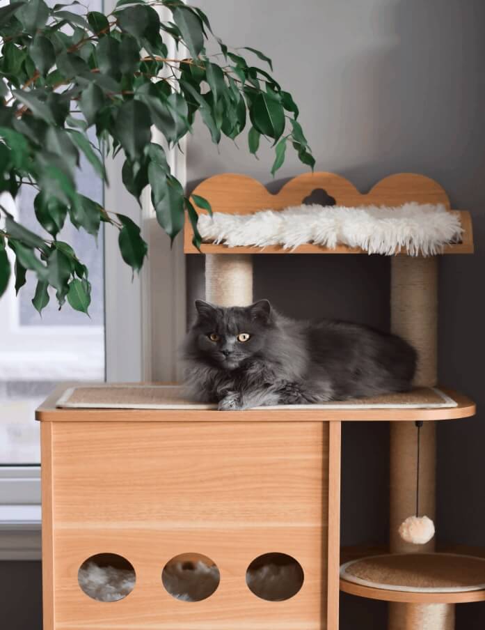About North Powers Animal Hospital