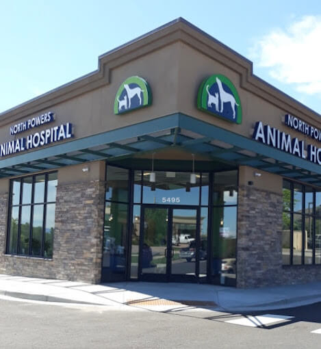 North Powers Animal Hospital