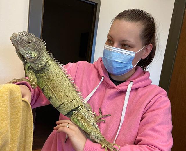 Exotic Animal Care